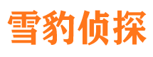 禄劝市婚外情调查